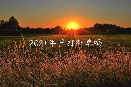 2023年嚴(yán)打補(bǔ)單嗎